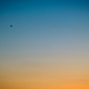 Image for article titled A Brief History of Airspace Design